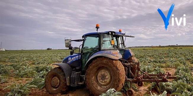 Sicurezza a Mottola: prefetto invocato in consiglio comunale contro l'ondata di furti nelle campagne