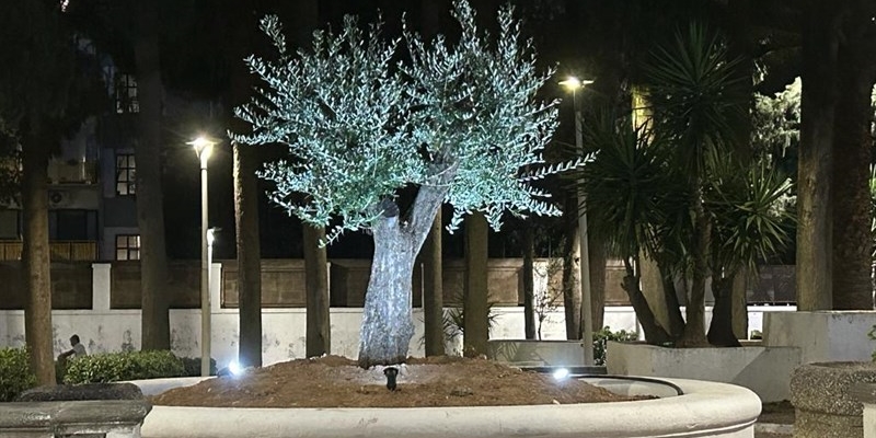 Stoma System investe sul territorio: via libera alla riqualificazione della villetta Lovelli e a un nuovo parcheggio