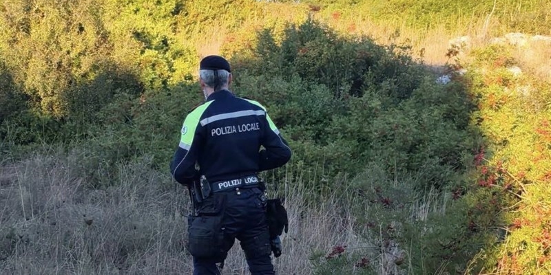 Lupi a Laterza? Il Comune avvia i controlli