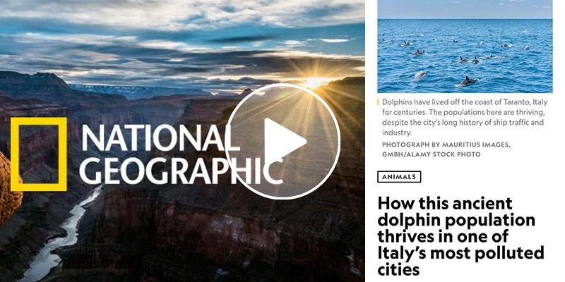 Da città industriale a patria dei delfini: National Geographic esalta Taranto