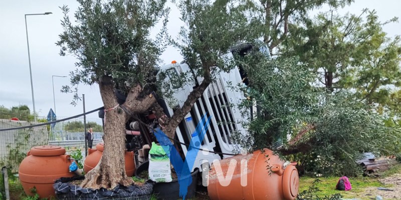 Violento impatto a Palagiano: un camion finisce in un vivaio