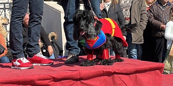 Carnevale da Cani - Edizione 2023