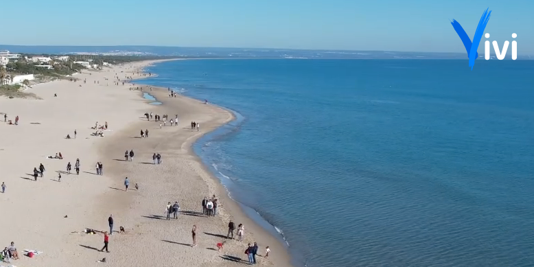 Pulizia delle spiagge, volontari in campo a Castellaneta Marina