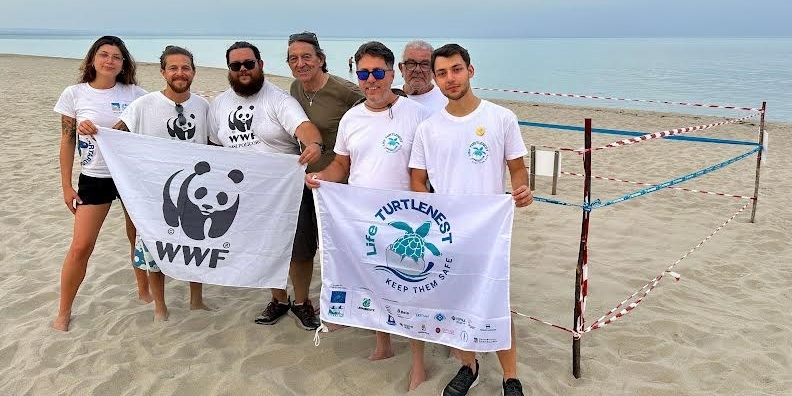 Tartarughe marine: scoperto il primo nido della stagione sulla spiaggia di Castellaneta Marina