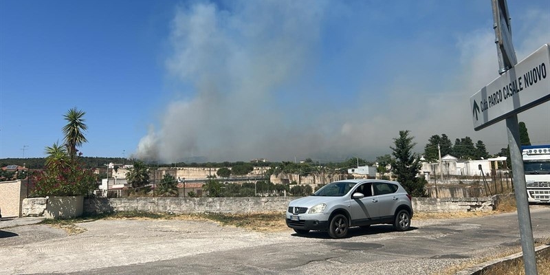Fiamme in pineta: in corso le operazioni di spegnimento