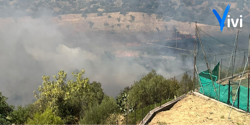 Incendio vicino al centro abitato, fumo visibile da tutta Mottola