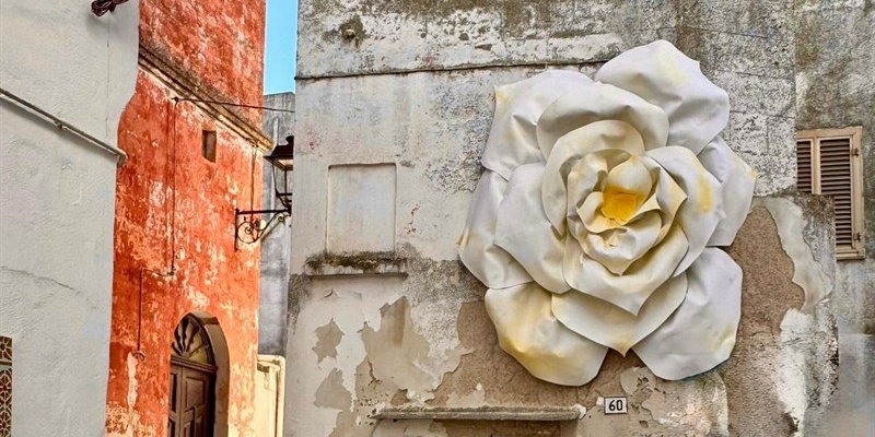 Rinascita urbana: fiori giganti colorano il centro storico di Mottola