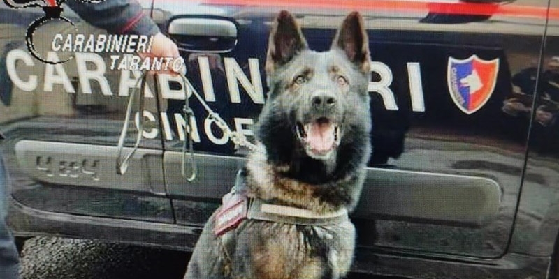 Droga sotto le lenzuola: nei guai un giovane ginosino