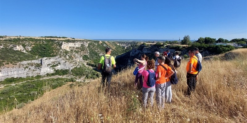 Escursione in Gravina fino al tramonto con liberazione in natura di fauna selvatica