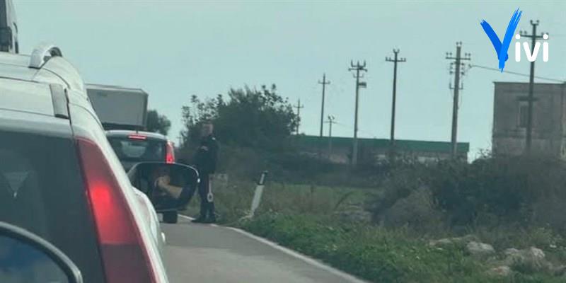 Truffa agli anziani, inseguimento e fermo: bloccata la statale